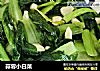 蒜蓉小白菜的做法