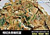 枸杞头香椿煎蛋的做法
