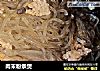 肉末粉条煲的做法