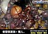 创意新派菜+懒人版无米腊八粥的做法