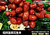 炝拌菠菜花生米的做法