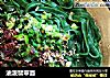 油泼翡翠面的做法