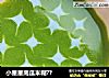 小星星南瓜米糊??的做法