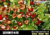凉拌腐竹木耳的做法