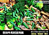 香辣牛肉时蔬炖锅的做法