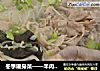 冬季暖身菜——羊肉粉丝煲的做法
