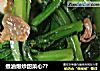 煮油爆炒甜菜心??的做法