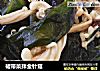 裙带菜拌金针菇的做法