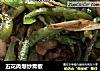 五花肉爆炒青椒的做法