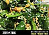 凉拌木耳菜的做法