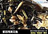 紫苏炖黄花鱼的做法