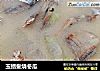 玉鲳鲞烧冬瓜的做法