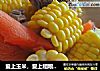 爱上玉米，爱上粗粮···玉米排骨汤的做法