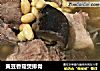 黄豆香菇煲排骨的做法