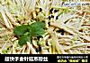 超快手金针菇蒸粉丝的做法