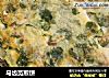 马齿苋煎饼的做法