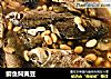 鲫鱼焖黄豆的做法