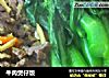 牛肉煲仔饭的做法