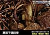蕨菜干烧排骨的做法