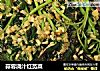 蒜蓉浇汁红苋菜的做法