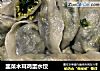韭菜木耳鸡蛋水饺的做法