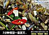 3分钟搞定一盘夏天潮汕必备金不换炒薄壳（海瓜子）的做法