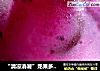 “清凉消暑”龙果多多饮的做法