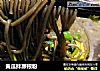 黄瓜拌蕨根粉的做法