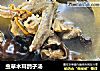 虫草木耳鸽子汤的做法
