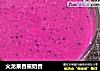 火龙果香蕉奶昔的做法