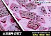 火龙果牛奶布丁的做法