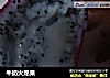 牛奶火龙果的做法