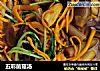五彩菌菇汤的做法