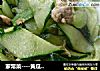 家常菜----黄瓜炒肉的做法