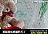 家常版焦糖蛋奶布丁的做法