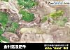金针菇浸肥牛的做法