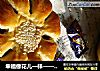 幸福像花儿一样——直接法红豆面包的做法