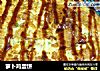 萝卜鸡蛋饼的做法