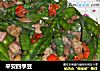 平安四季豆的做法