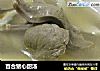 百合猪心甜汤的做法