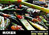 韩式拌韭菜的做法