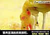 营养豆渣的另类新吃法------创新芝士焗薯泥的做法