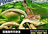 简易美味羊杂汤的做法