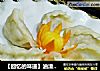 【回忆的味道】油渣酸菜水饺的做法