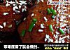 零难度看了就会做的【三杯鸡翅】的做法