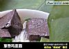 葱香鸡血面的做法