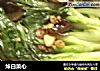 焯白菜心的做法