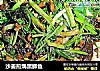 沙姜煎焗黑鲫鱼的做法