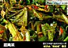 腊腌菜的做法