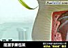 醋溜手撕包菜的做法